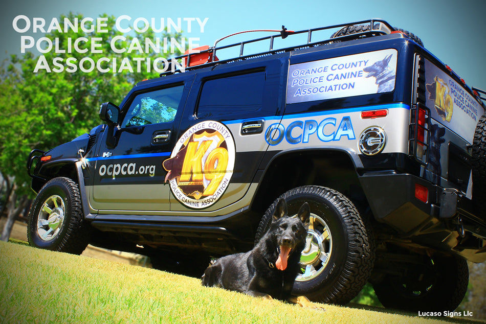 Window Graphics Perforated film with Custom Printing 4 BuySigns.Shop